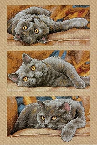 Max the Cat Counted Cross Stitch Kit