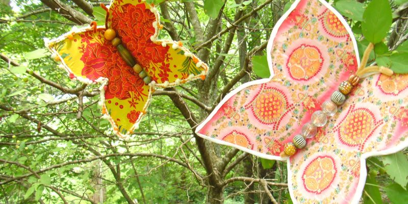 Boxes into Butterflies