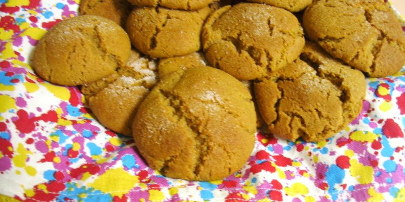 Ginger Molasses Cookies + Hiking Pics